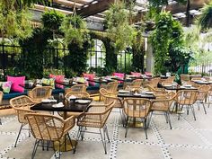 tables and chairs are lined up in the middle of a room with plants hanging from the ceiling