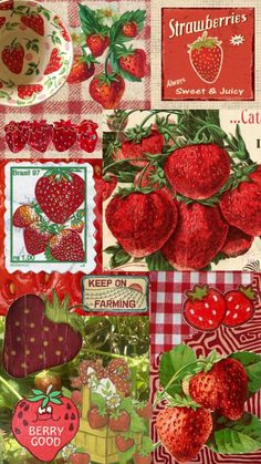 a collage of strawberries and other items on a checkered tablecloth background