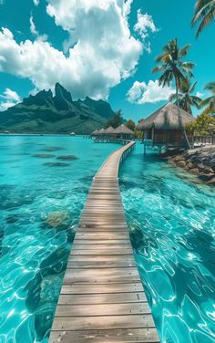 a wooden walkway leading to the beach with palm trees on both sides and clear blue water