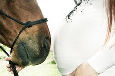 a close up of a person petting a horse