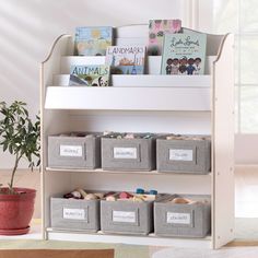 a book shelf filled with lots of books next to a potted plant