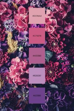 purple and pink flowers are featured in this color scheme