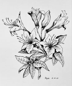 a black and white drawing of some flowers