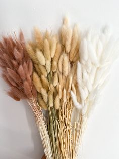 the dried flowers are arranged in different colors