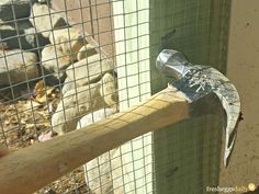 a hammer is stuck into the side of a fence with an animal in the background