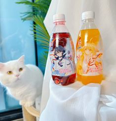 two bottles of liquid sitting next to a white cat