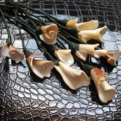 some sea shells are laying on top of the table and ready to be used as garnishes