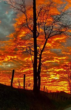 an orange and yellow sunset behind a fenced in area with trees on the side