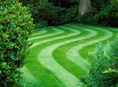 a green lawn that has been mowed in the middle of some bushes and trees