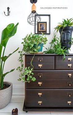 a wooden dresser topped with lots of green plants next to a potted plant on top of it