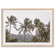 palm trees in the foreground and mountains in the background, framed in wooden frame