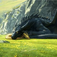 a large black dragon laying on top of a lush green field next to a cliff