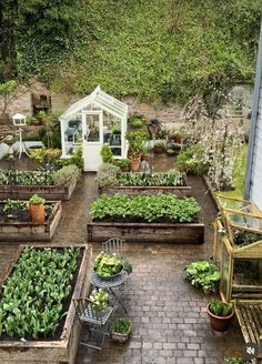 an outdoor garden with lots of green plants