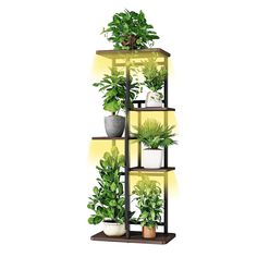 a tall shelf filled with potted plants on top of each other