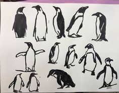 an image of penguins drawn in black and white on a piece of paper with colored pencils