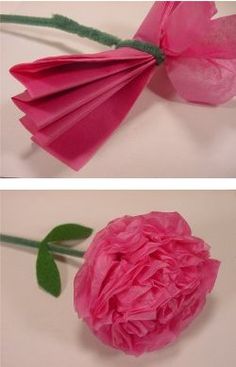 two pictures of pink flowers with green stems and petals, one being folded in tissue paper