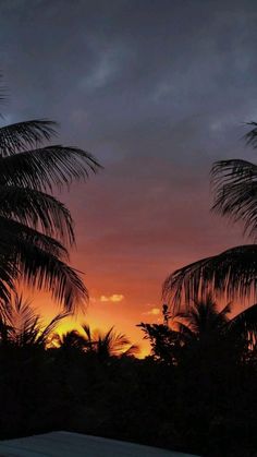 the sun is setting behind some palm trees