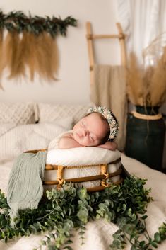 a baby is sleeping in a basket with greenery