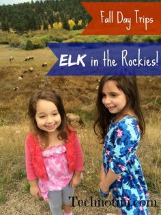 Our new Fall Favorite excursion is seeing the Elk in Rocky Mountain National Park. Check our tips for your next trip! kid-friendly travel |nature trips| Colorado |Fall trips Denver Hiking, Rocky Mountains Colorado, Mountains Colorado, Colorado Fall, Colorado Summer