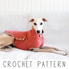 a dog wearing a red sweater sitting on a white couch with the words crochet pattern written below it