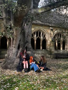 three women sitting on the ground under a tree in front of an old building with arched windows