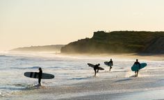 four surfers walking into the ocean with their surfboards