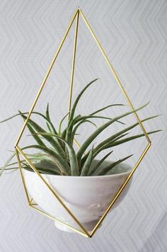 an air plant in a white bowl with gold geometric frame hanging from the ceiling on a wall