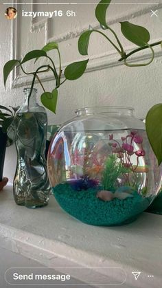 there is a fish bowl with plants in it