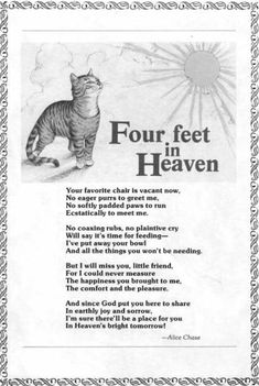 an image of a cat with the words four feet in heaven