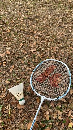 a badminton racket and two shuttles laying on the ground in front of leaves