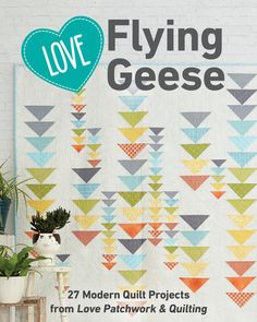 the cover of love flying geese quilt pattern is displayed in front of a potted plant