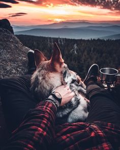 a person laying on top of a mountain with a dog in their lap next to them