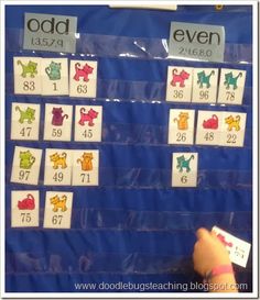 a child is playing with an odd number game on the blue sheeted bulletin board