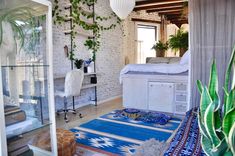 a room with a bed, desk and plants on the wall next to it in front of a window