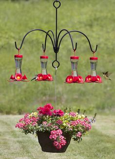 Flowers And Hummingbirds, Hummingbird Feeder, Garden Yard Ideas, Backyard Birds, Bird Garden, Butterfly Garden