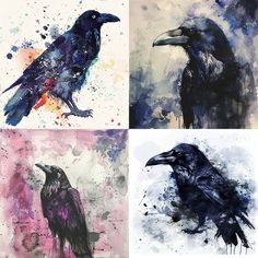 four different paintings of black crows in various colors and sizes, each painted with acrylic paint