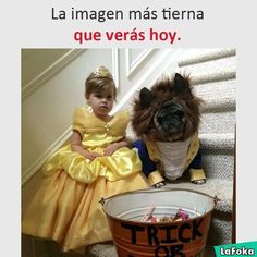 Beast Halloween Costume, Beauty And The Beast Halloween Costume, Halloween Costume For Dogs, Sloth Costume, Beauty And The Beast Halloween, Creative Halloween Costume Ideas, Costume For Dogs, Most Creative Halloween Costumes, Beauty And The Beast Costume