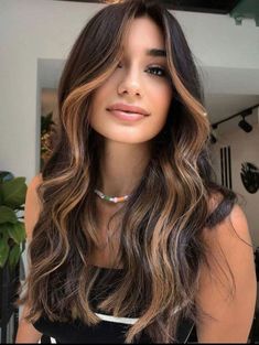 #hairstyleinspo #hairgoals #hairtrends #hairstyleideas #hairinspiration #hairtutorial #hairtransformation #hairlove #hairstyleoftheday #hairfashion Hairstyles And Colors, Celebrities Hairstyles, Dark Brown Hair With Highlights, Hair Contouring, Highlights Ideas, Hair With Highlights, Chestnut Hair Color, Brown Hair Looks, Brown Hair Inspo