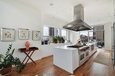 a kitchen with white cabinets and an island in the middle is surrounded by potted plants