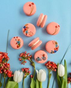 macaroons and flowers on a blue background with pink frosted macaroons