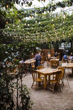 an outdoor dining area with wooden tables and chairs, surrounded by greenery at night