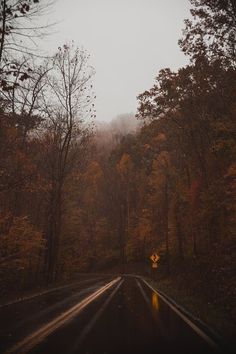 an empty road surrounded by trees in the fall