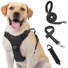 Kindacoool Dog Harness, Front Lead No Pull Dog Harness, Reflective Adjustable Soft Padded Vest with 5FT Dog Leash, Dog Seat Belt and Storage Strap, Vest Set for Small Medium Large Dogs Dog Car Harness, Dog Belt, Car Harness, Dog Equipment, Dog Gadgets, Dogs Black, Dog Seat Belt, Harness Dog