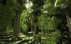 an image of a forest filled with lots of green plants and trees in the background