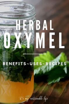 a jar filled with green leaves and liquid on top of a wooden table next to a leafy plant