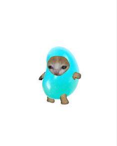 an animal with a blue ball in it's back legs and head sticking out