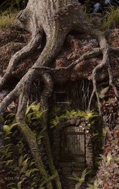 a tree that is growing out of the side of a building with vines on it