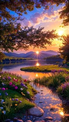 a beautiful sunset over a river with flowers and trees