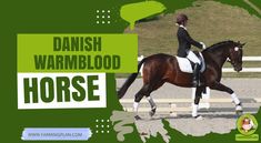 When I first met the Danish Warmblood horse, I was captivated by its elegance and calm demeanor. This breed is […]