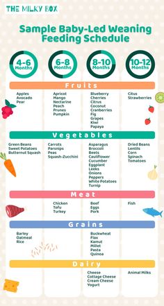 the baby - led weaning feeding schedule is shown in this graphic diagram, which shows